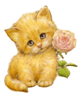 4933191_1192355051_k_33.gif