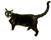 4933197_1192355077_k_36.gif