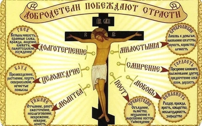 a0c59aa1fd9f2a127abdc0aaa7597058.webp