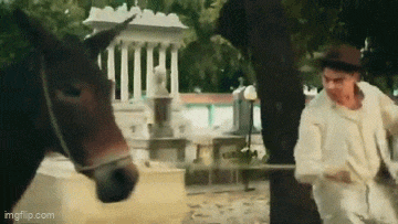 https://e.radikal.host/2025/06/03/1.gif