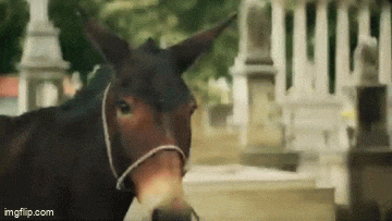 https://e.radikal.host/2025/06/03/3.gif
