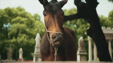 https://e.radikal.host/2025/06/03/4.gif
