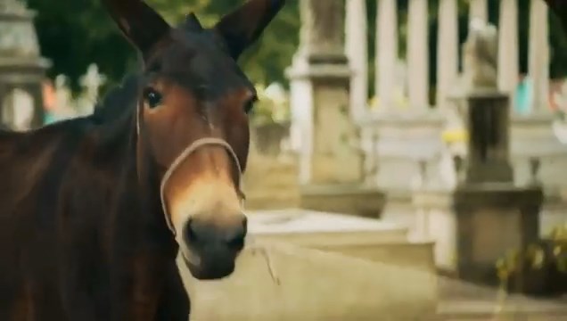 https://e.radikal.host/2025/06/03/videoplayback.mp4_snapshot_00.56.996.jpg