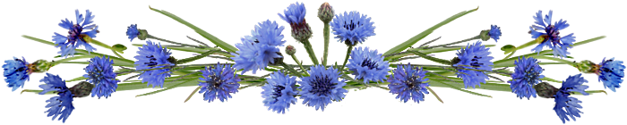 0_f74ac_3f33512e_orig1.png