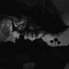 https://e.radikal.host/2025/06/20/180487.gif