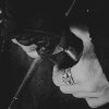 https://e.radikal.host/2025/06/20/545346.gif