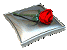 126612134_4617818_117417788_0_dced7_fae5bd44_S.gif