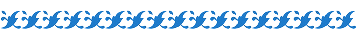 164396720_ii1.png