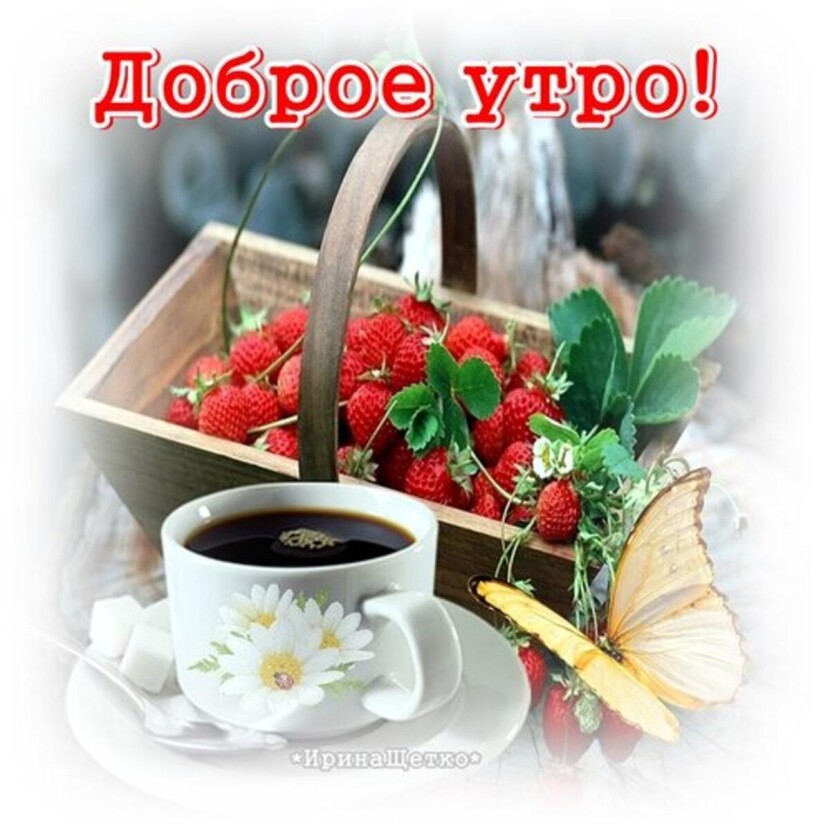 good-morning-good-morning-cards-situations-dsxw.jpg