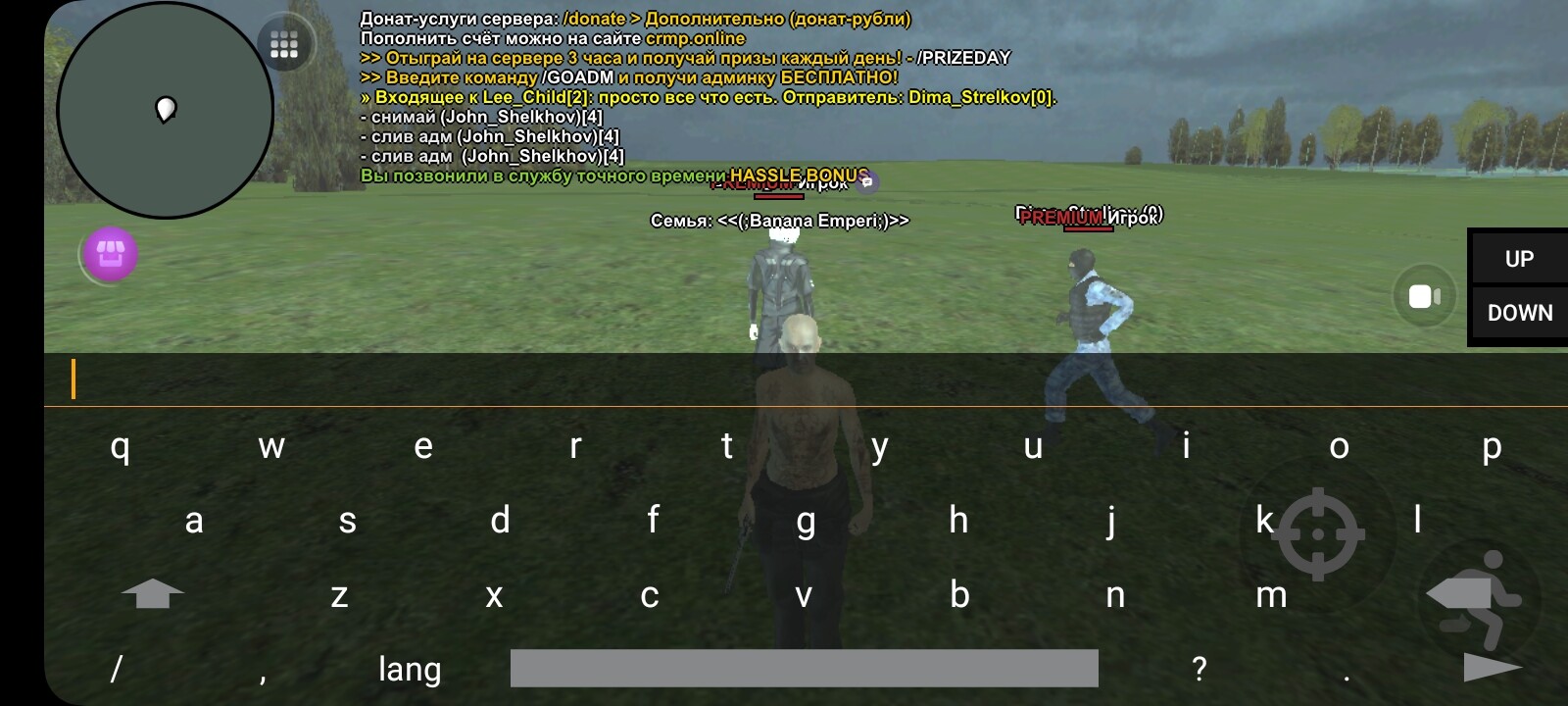 radikal.host