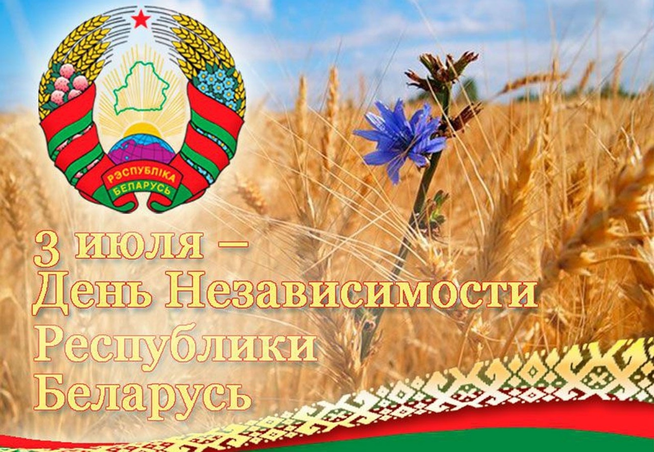 1af9d12c8e8f29659.jpg