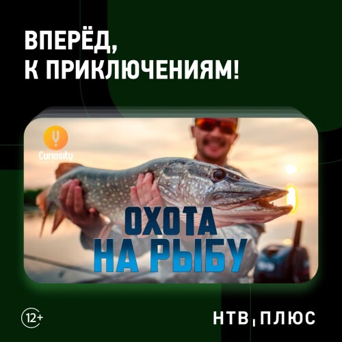 03a8c58e8de08d98a.md.jpg