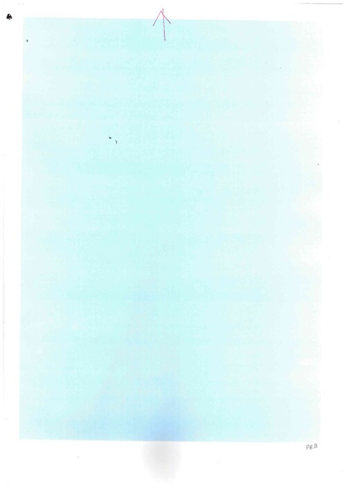 doc17461520250708060801 page 0001