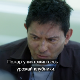 https://e.radikal.host/2025/07/12/000000000.th.png