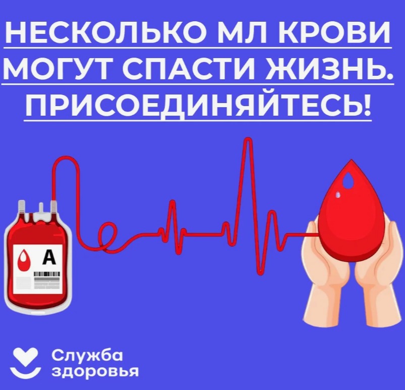 2ccbddfd54c0d8034.jpg