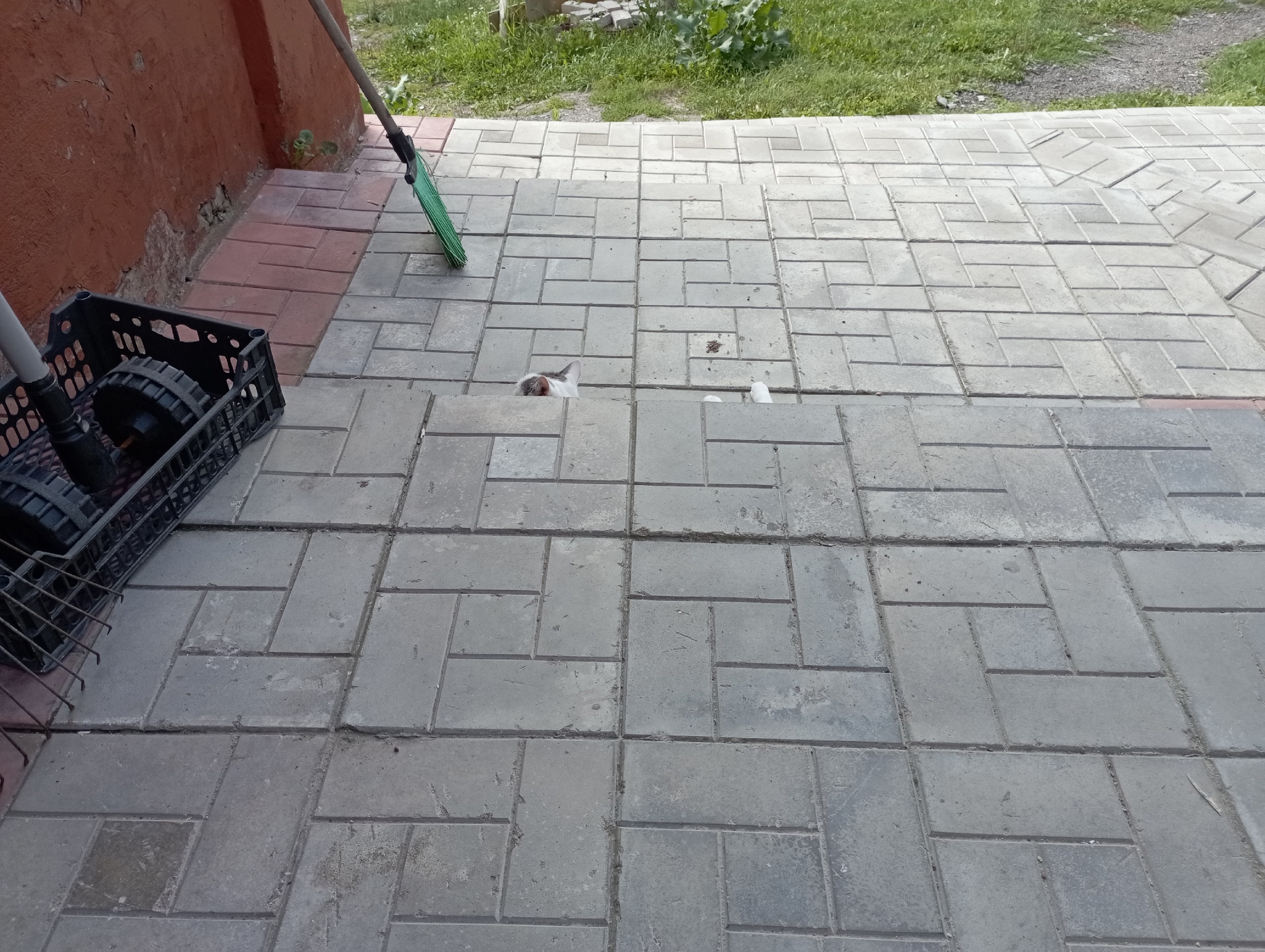 oCFVHLLsCgE-Co03LFRvrcFudSR8Jqf5DHw1OIxv9wvndOI90FPPcRULpxvgvT8gVEH-8XzJa2jaCF-Jr2dfAUtb.jpg