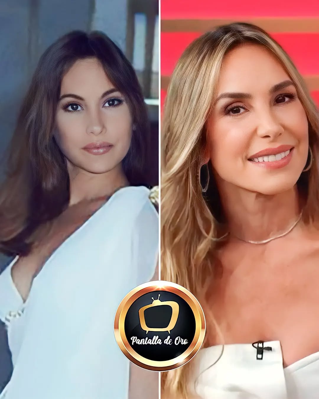 https://e.radikal.host/2025/08/26/-Hoy-cumple-53-anos-la-maravillosa-Natalia-Streignard.-Aquella-esbelta-jovencita-que-nos-conq.jpg