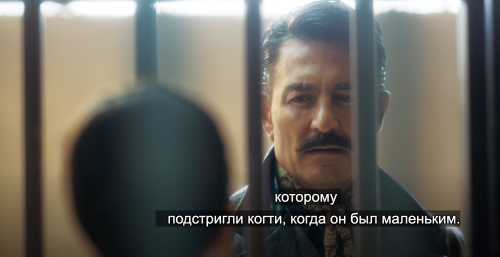 https://e.radikal.host/2025/08/27/004.md.png