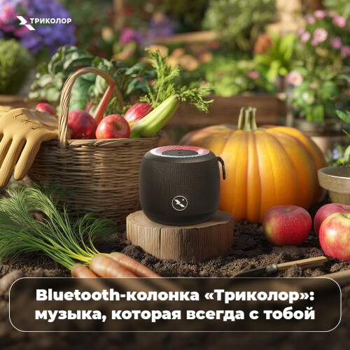 0100.md.jpg