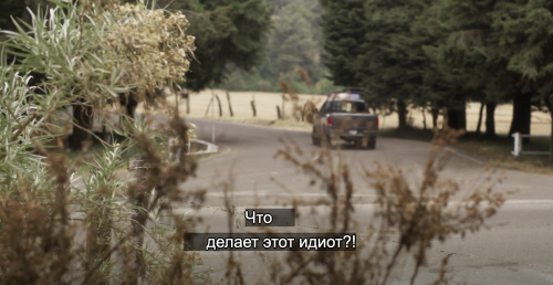 https://e.radikal.host/2025/08/29/053.md.png