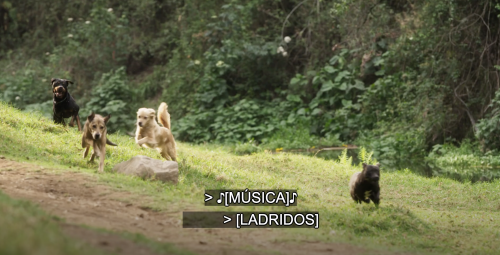https://e.radikal.host/2025/08/30/0467dcdcde9f6071bc9.md.png