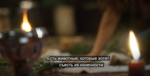 https://e.radikal.host/2025/08/30/058797d717cca0a3e63.md.png