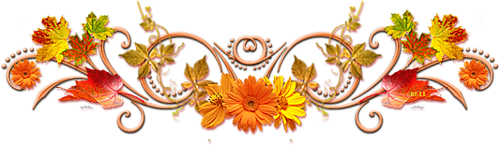 137712562_0_16d898_736645de_L.png
