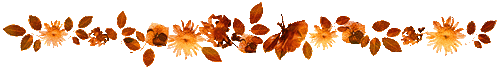 137712594_6336147.gif
