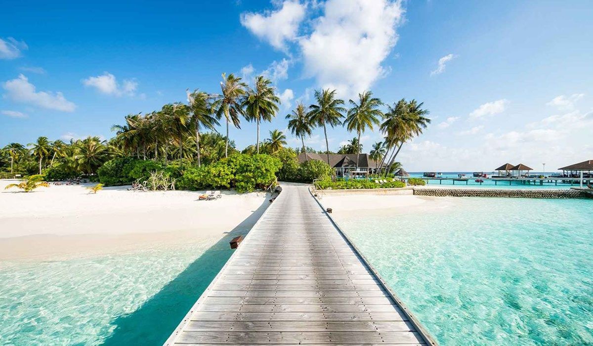 maldidy-1.jpg