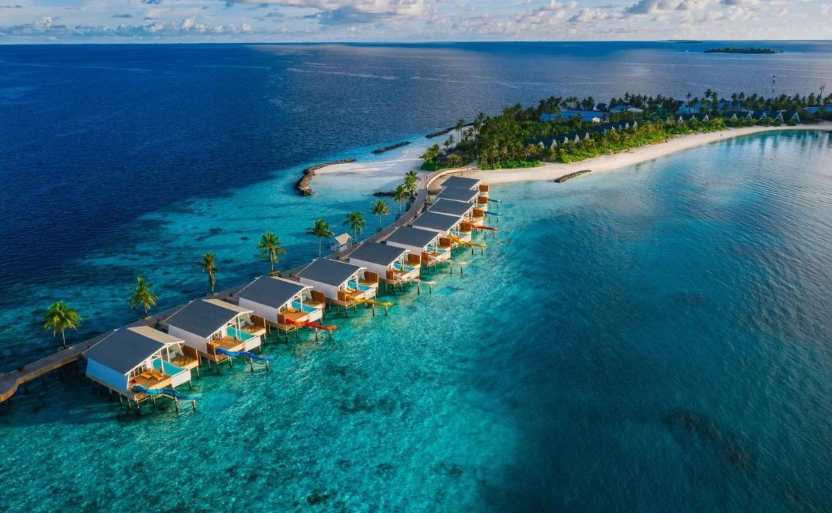 maldivy-2.jpg