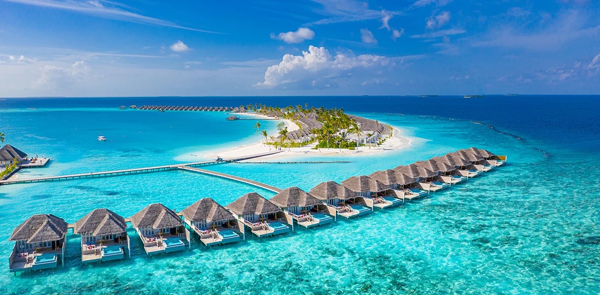 maldivy-3.jpg