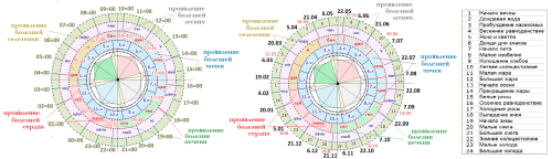изображение 2025 12 13 141316914