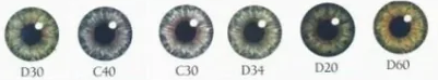 BEZYMYNN809YI.png
