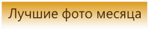 ЛУЧШИЕ ФОТО МЕСЯЦА