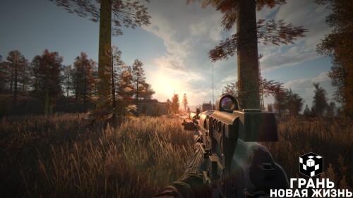 Новая Жизнь 2