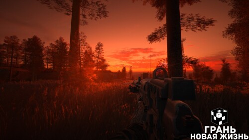 Новая Жизнь 4