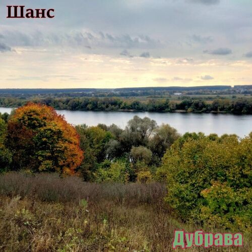 Шанс - Дубрава 2026(320)