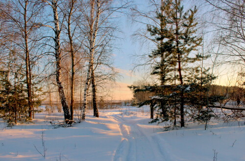 зимний вечер в лесу