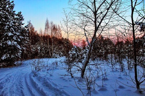 зимние сумерки