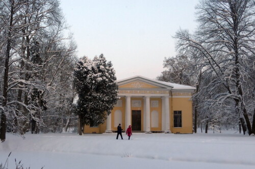 Зимний Пушкин
