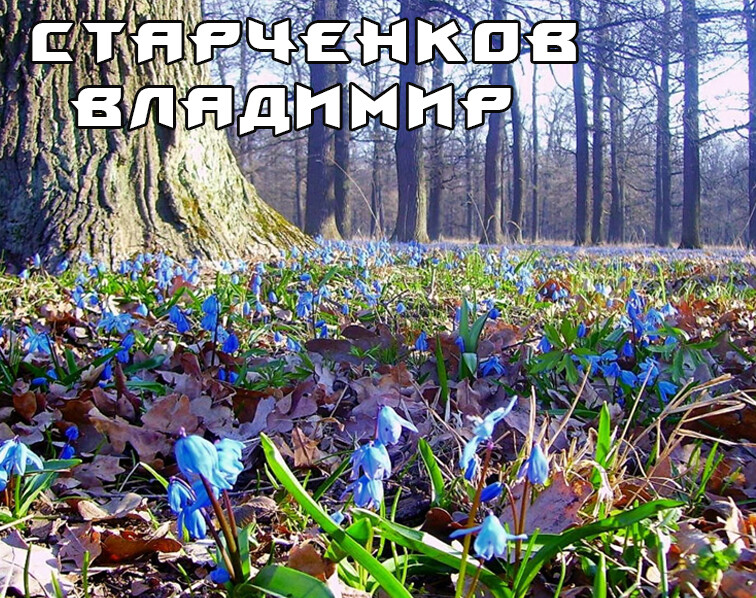 OBLOZKA.jpg" border="0