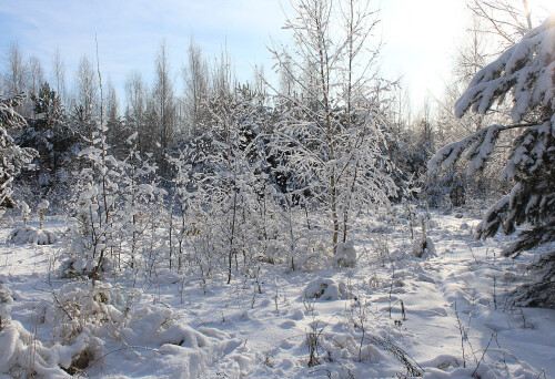 хрустальная сказка