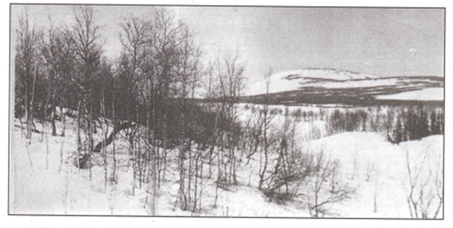 https://e.radikal.host/2026/02/27/PANORAMNOE-FOTO-ARKIPOV_USTINOV.png