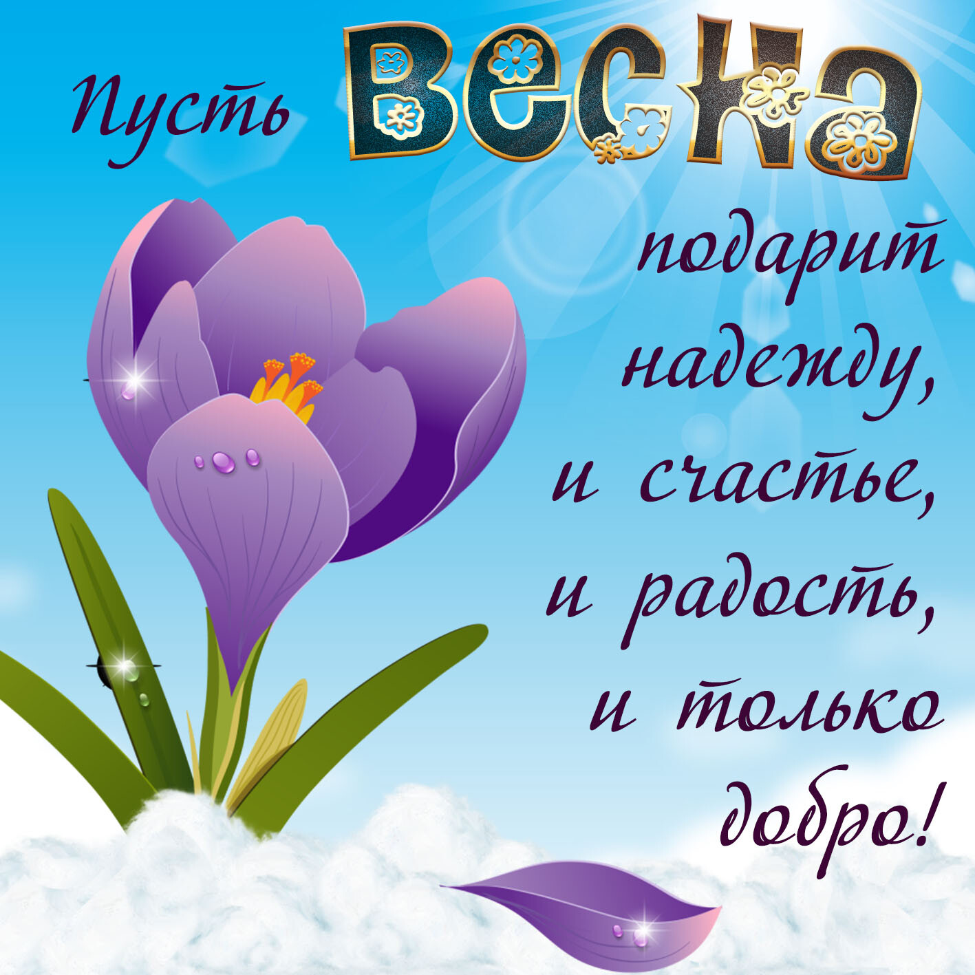 VESNA5.jpg