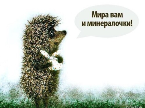 Screenshot_20260313-234207.md.jpg" border="0