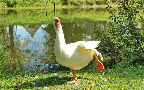 занятие гимнастикой