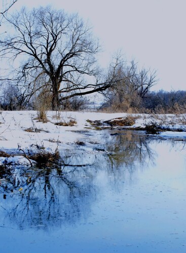 мартовский пейзаж
