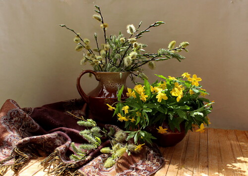 верба и желтые ветреницы