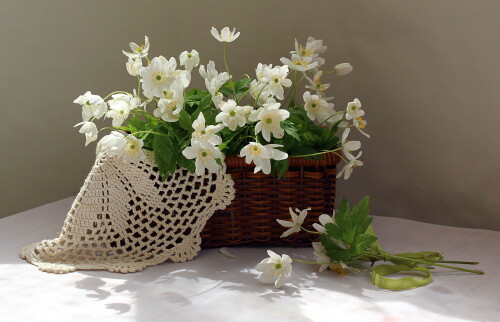 подснежники