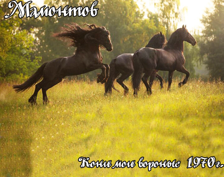 OBLOZKA.jpg" border="0